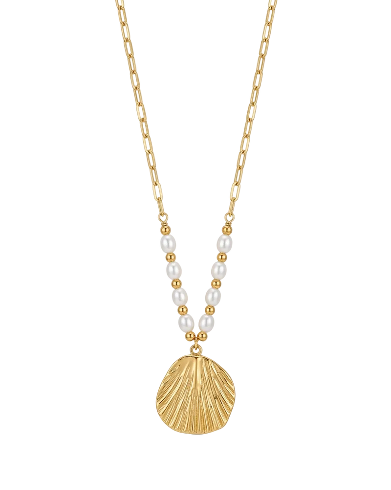 Shell Pearl Necklace