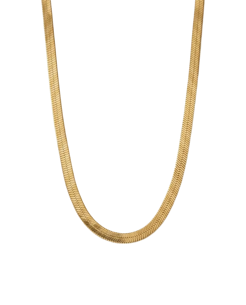 Valencia Bone Chain Necklace