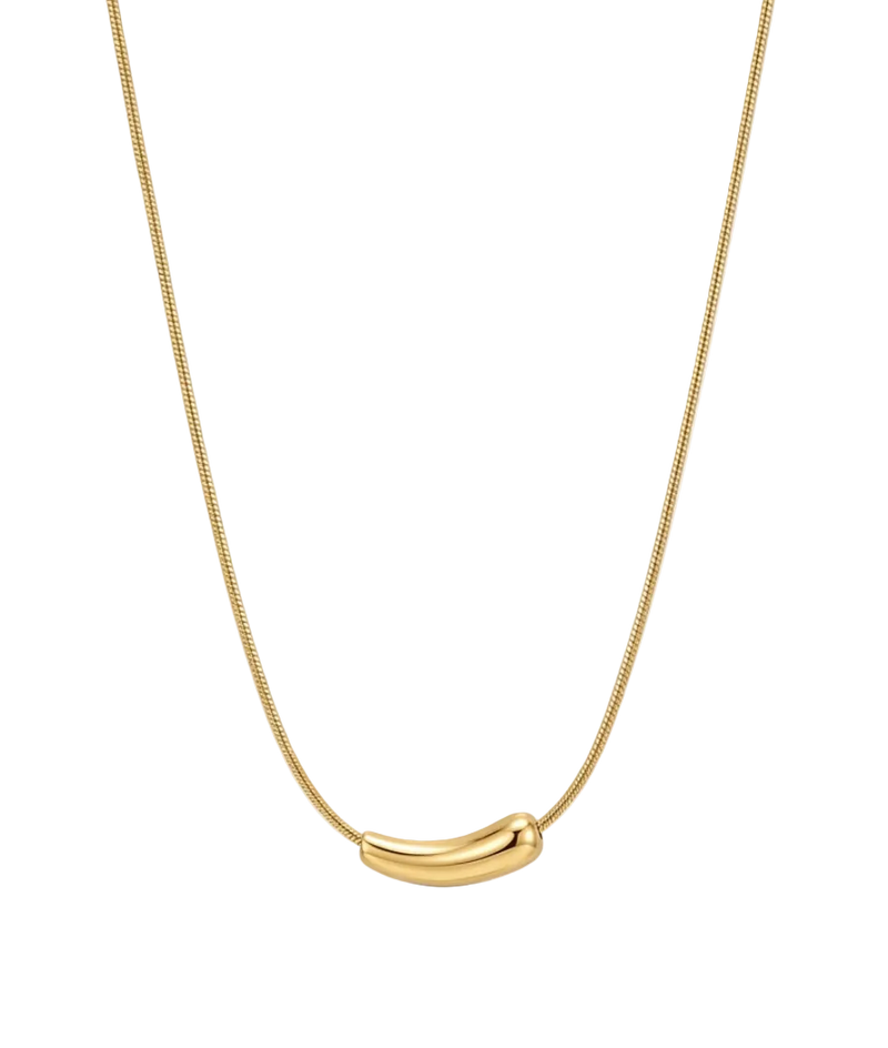 Chili Curve Necklace